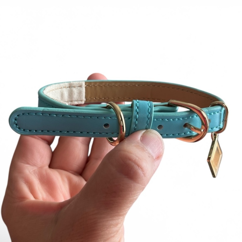 Disney Turquoise Leather Dog Collar 14”